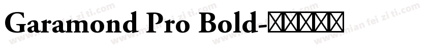 Garamond Pro Bold字体转换